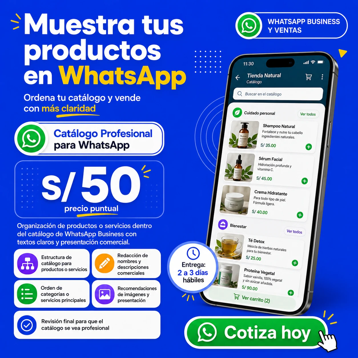 Diseño del servicio Catálogo Profesional para WhatsApp