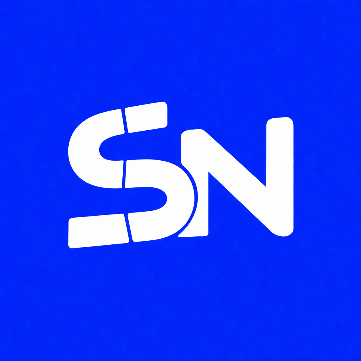 Logo Social Net